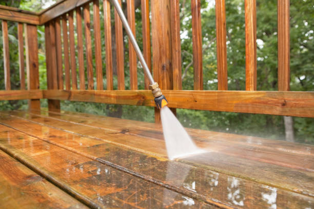 Reliable Elkton, VA Pressure washing Solutions